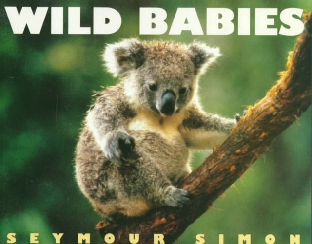 Wild Babies