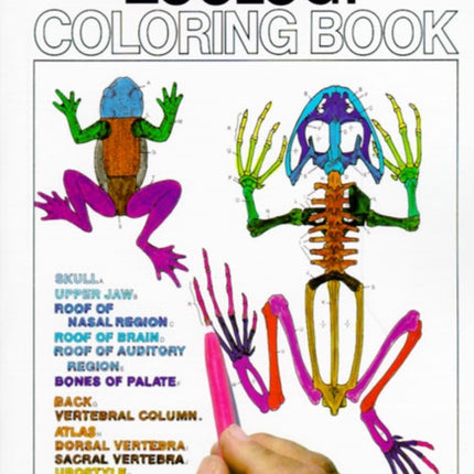 The Zoology Colouring Book A Coloring Book