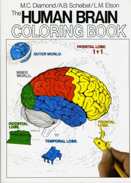 The Human Brain Coloring Book: A Coloring Book