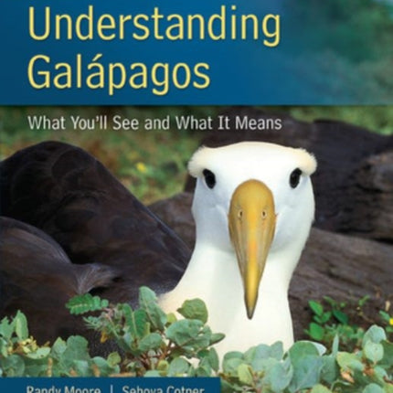 Understanding Galapagos