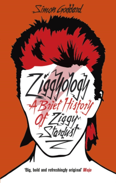 Ziggyology A Brief History of Ziggy Stardust