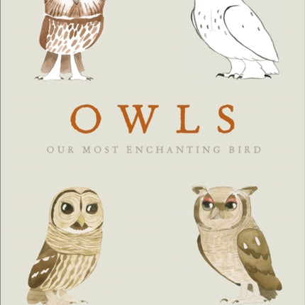 Owls: Our Most Enchanting Bird