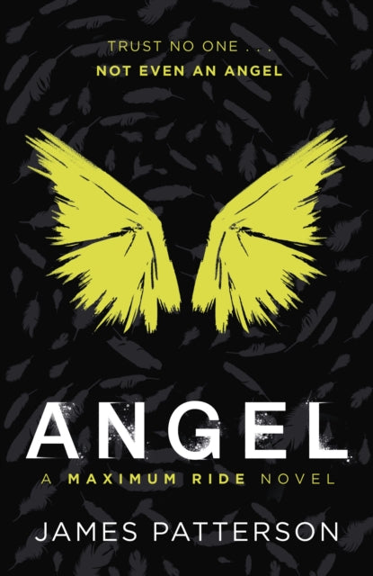 Angel: A Maximum Ride Novel: (Maximum Ride 7)