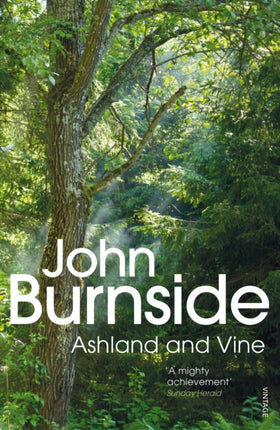 Ashland  Vine