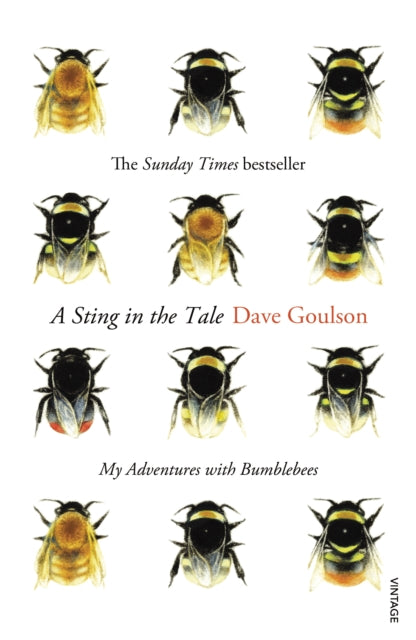 A Sting in the Tale: My Adventures with Bumblebees