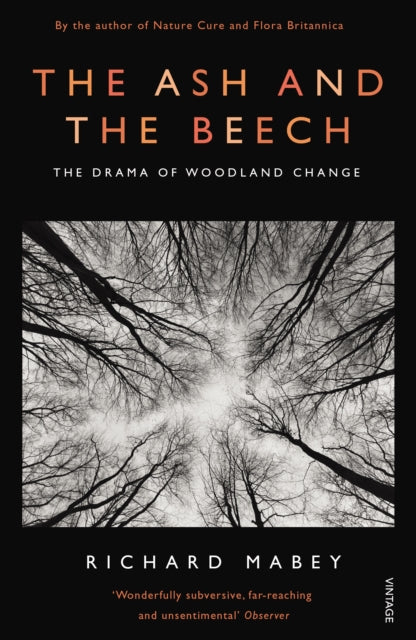 The Ash and The Beech: The Drama of Woodland Change