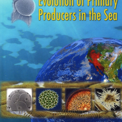 Evolution of Primary Producers in the Sea
