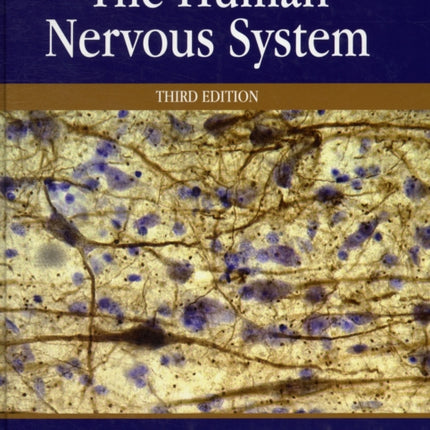 The Human Nervous System