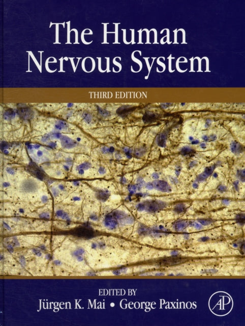 The Human Nervous System