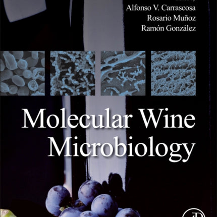Molecular Wine Microbiology