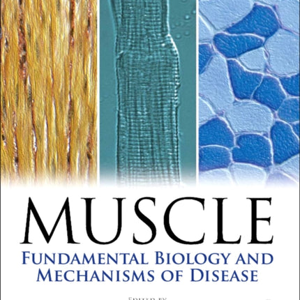 Muscle 2Volume Set