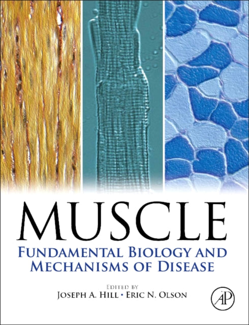 Muscle 2Volume Set