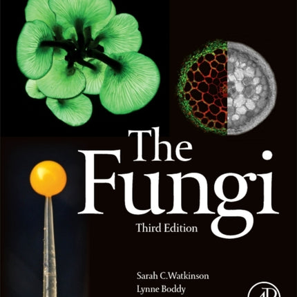 The Fungi
