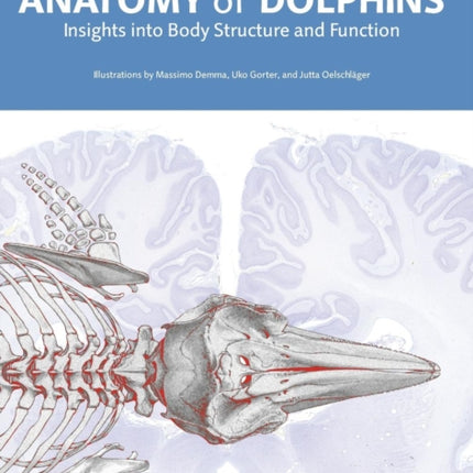 Anatomy of Dolphins: Insights into Body Structure and Function