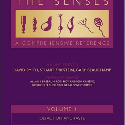 The Senses A Comprehensive Reference