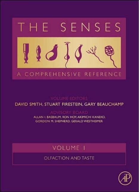 The Senses A Comprehensive Reference