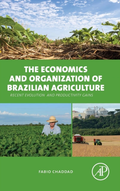 The Economics and Organization of Brazilian