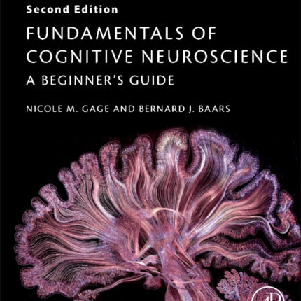 Fundamentals of Cognitive Neuroscience: A Beginner's Guide