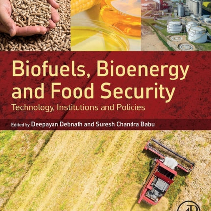 Biofuels, Bioenergy and Food Security: Technology, Institutions and Policies