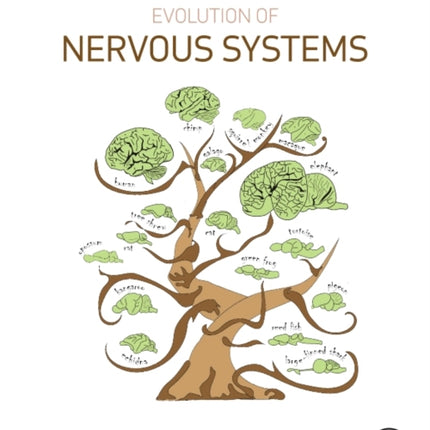 Evolution of Nervous Systems