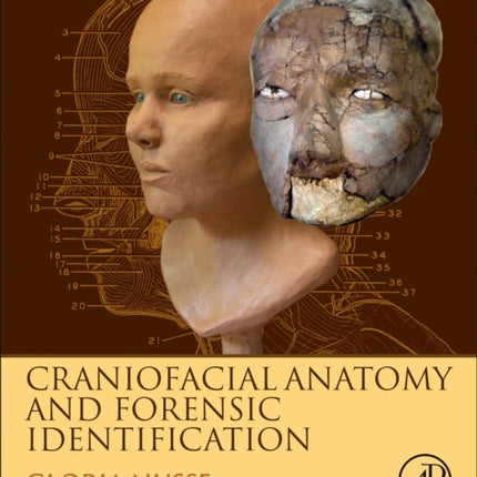 Craniofacial Anatomy and Forensic Identification