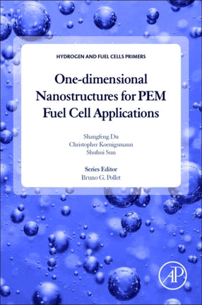 Onedimensional Nanostructures for PEM Fuel Cell Applications