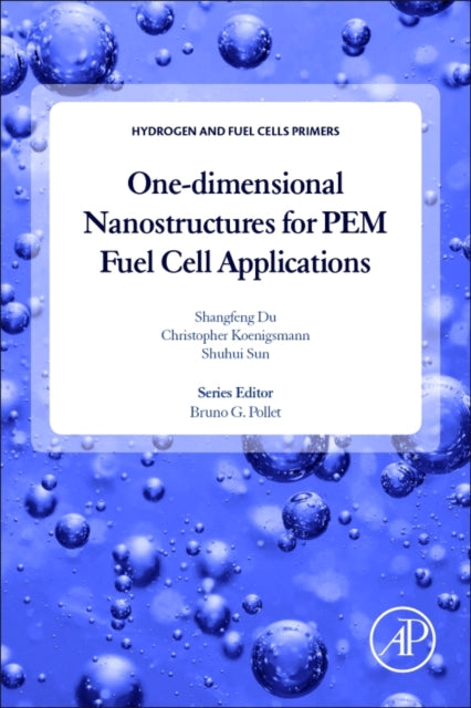 Onedimensional Nanostructures for PEM Fuel Cell Applications