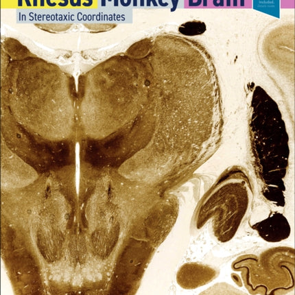 The Rhesus Monkey Brain in Stereotaxic Coordinates