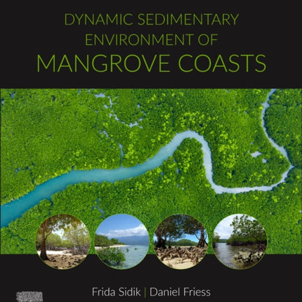 Dynamic Sedimentary Environments of Mangrove