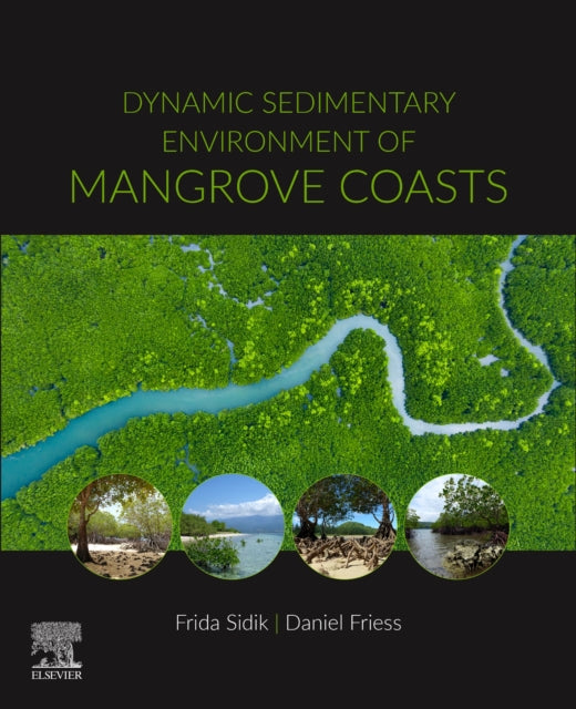 Dynamic Sedimentary Environments of Mangrove