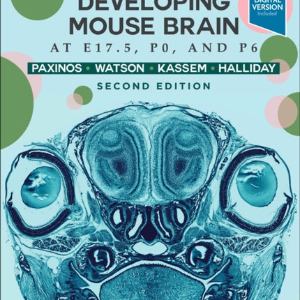 Atlas of the Developing Mouse Brain