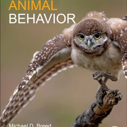 Animal Behavior