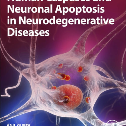 Human Caspases and Neuronal Apoptosis in Neurodegenerative Diseases