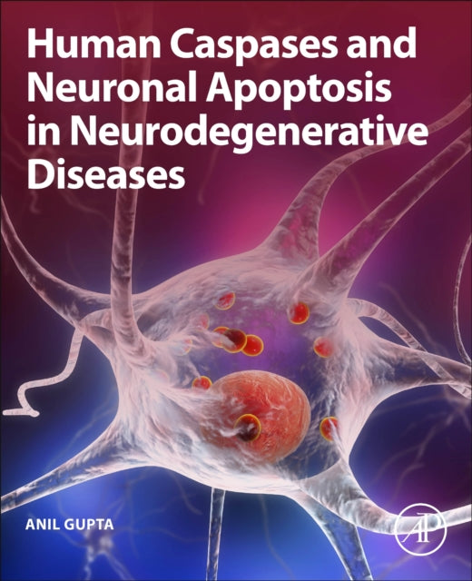 Human Caspases and Neuronal Apoptosis in Neurodegenerative Diseases