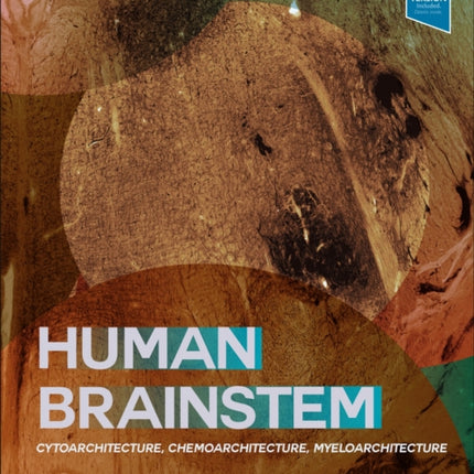 Human Brainstem: Cytoarchitecture, Chemoarchitecture, Myeloarchitecture