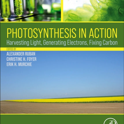 Photosynthesis in Action