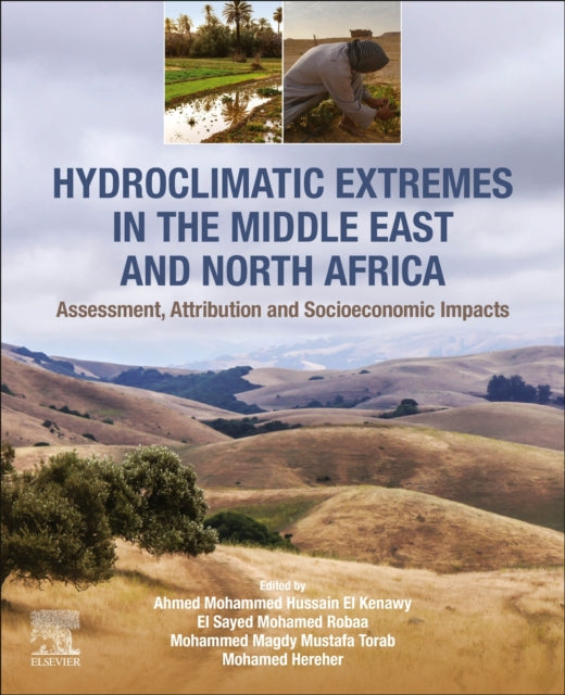 Hydroclimatic Extremes in the Middle East and