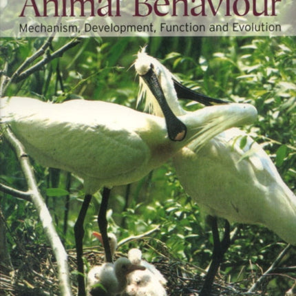 Animal Behaviour