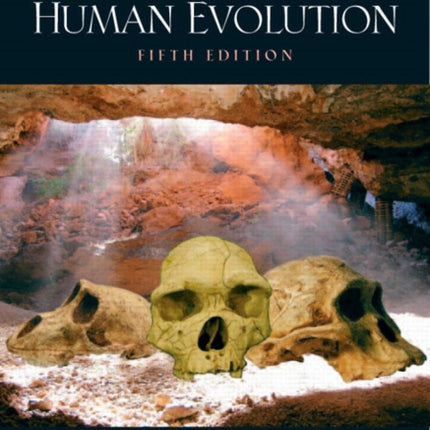 Understanding Human Evolution