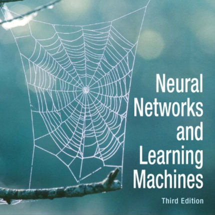 Neural Networks and Learning Machines