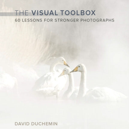 Visual Toolbox, The: 60 Lessons for Stronger Photographs