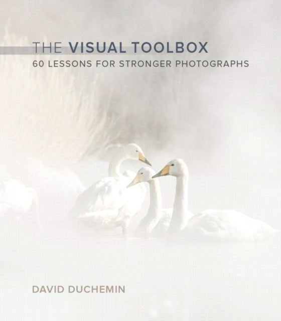 Visual Toolbox, The: 60 Lessons for Stronger Photographs