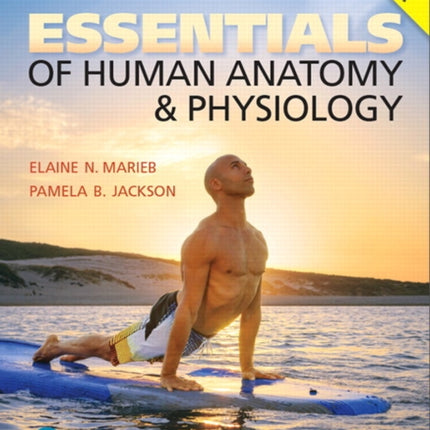 Essentials of Human Anatomy  Physiology