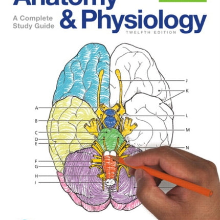 Anatomy and Physiology Coloring Workbook