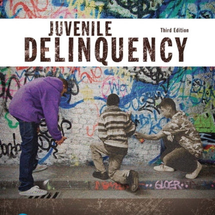 Juvenile Delinquency Justice Series