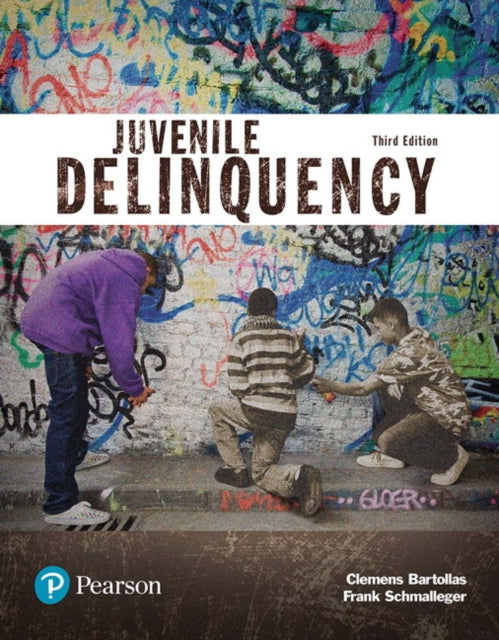Juvenile Delinquency Justice Series