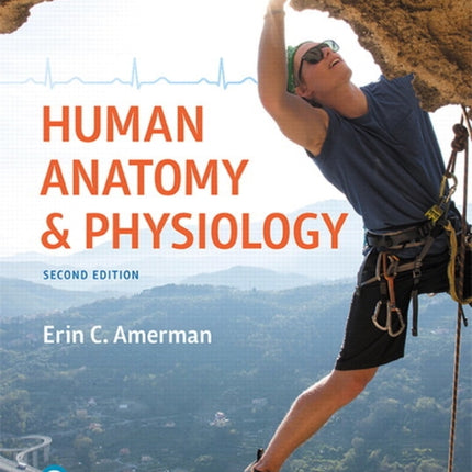 Human Anatomy & Physiology