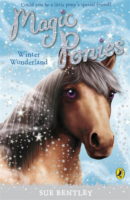 Magic Ponies: Winter Wonderland