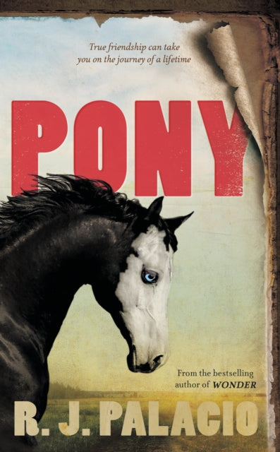 Pony