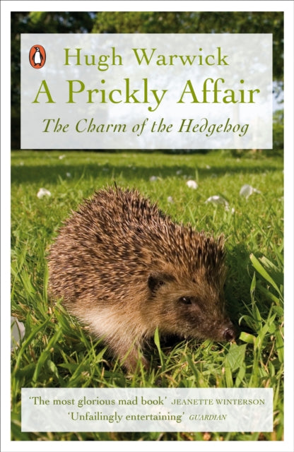 A Prickly Affair: The Charm of the Hedgehog